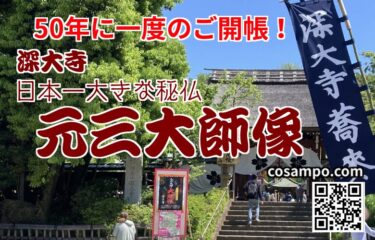50年に一度しか見られない【日本一大きな秘仏】深大寺（東京都調布市）の元三大師像が特別公開！間近で拝観して来ました♪